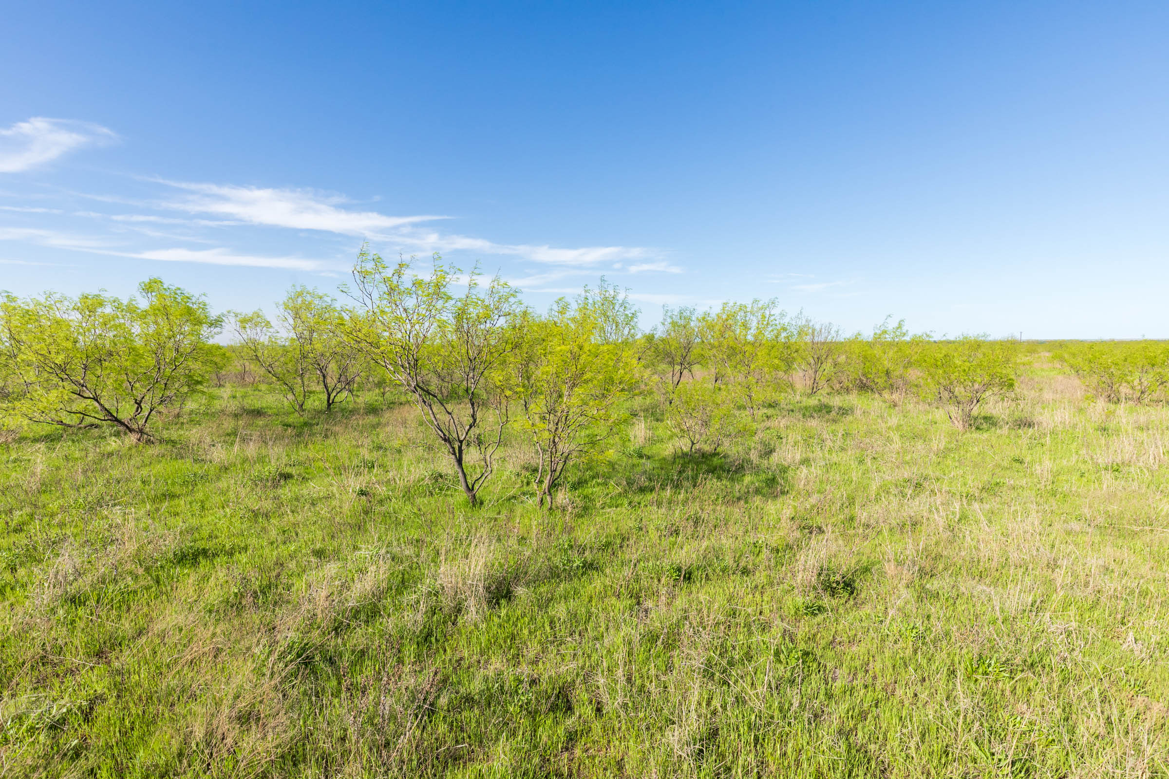 Tract 12 at Hackberry Fields in Greer County, Oklahoma