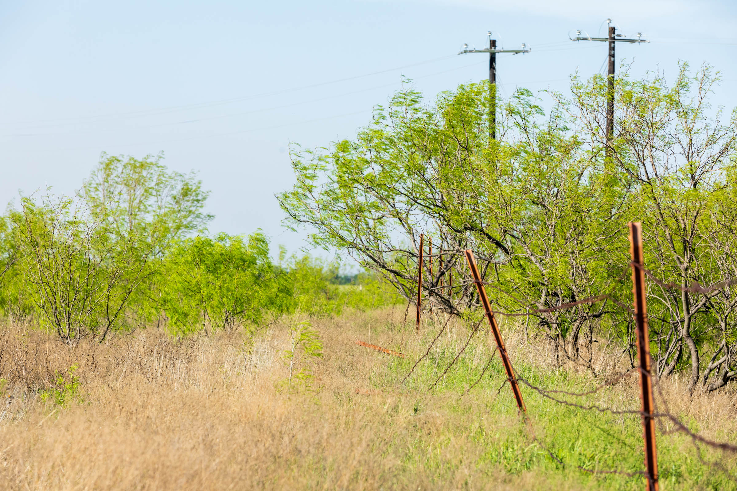 Tract 14 at Hackberry Fields in Greer County, Oklahoma