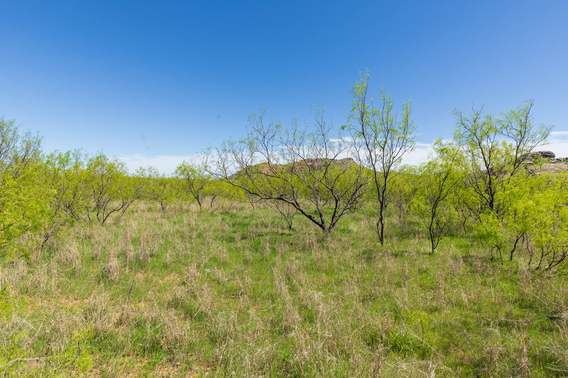 Tract 20 at Hackberry Fields in Greer County, Oklahoma