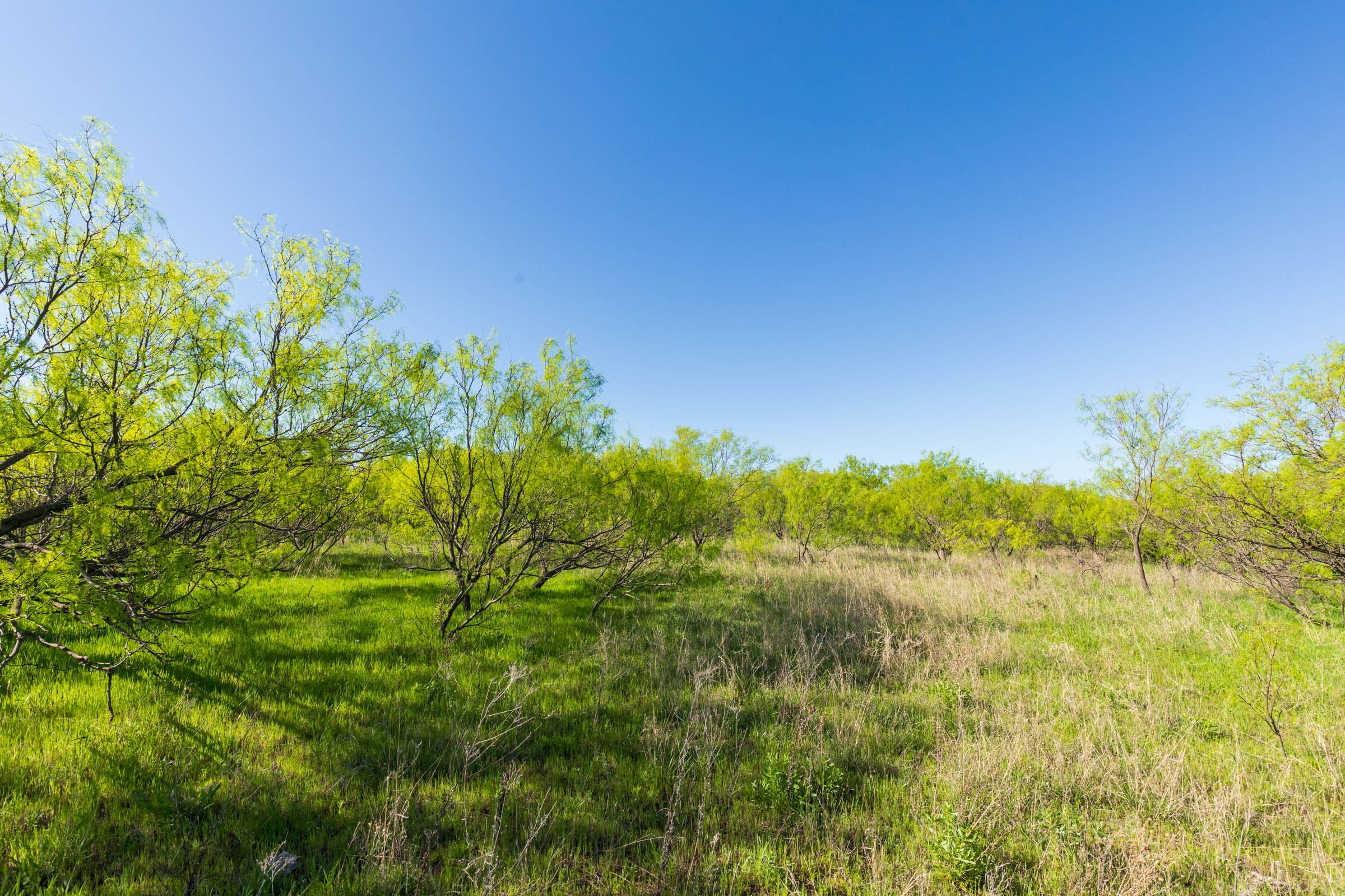 Tract 21 at Hackberry Fields in Greer County, Oklahoma