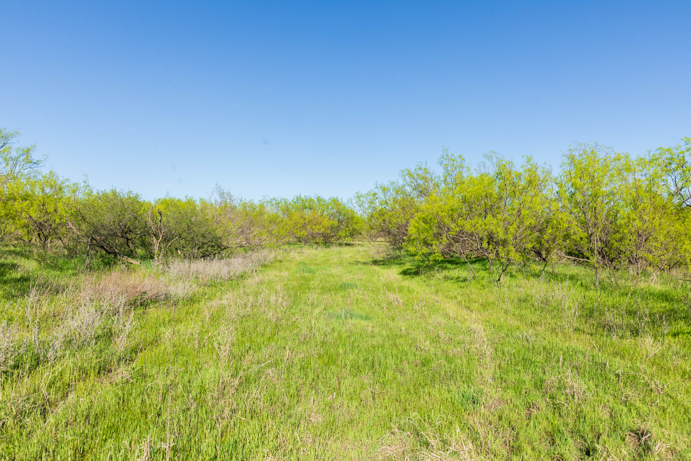 Tract 26 at Hackberry Fields in Greer County, Oklahoma