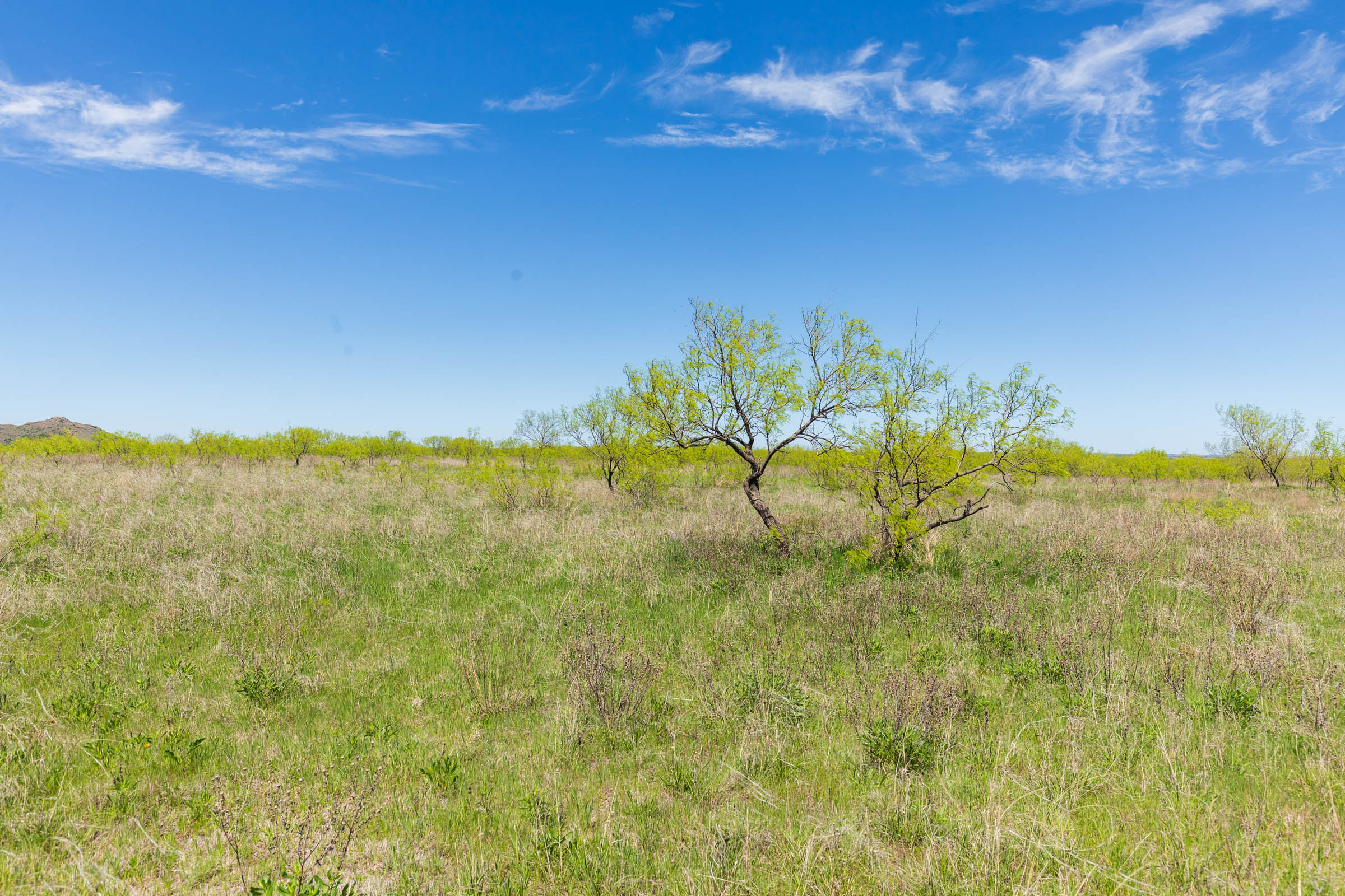 Tract 5 at Hackberry Fields in Greer County, Oklahoma